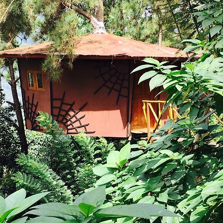 The Tree House Otel Ginigathena Dış mekan fotoğraf