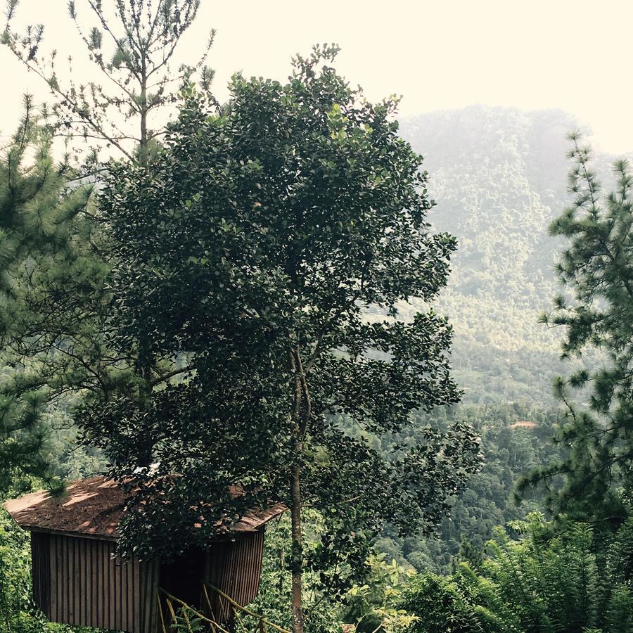 The Tree House Otel Ginigathena Dış mekan fotoğraf